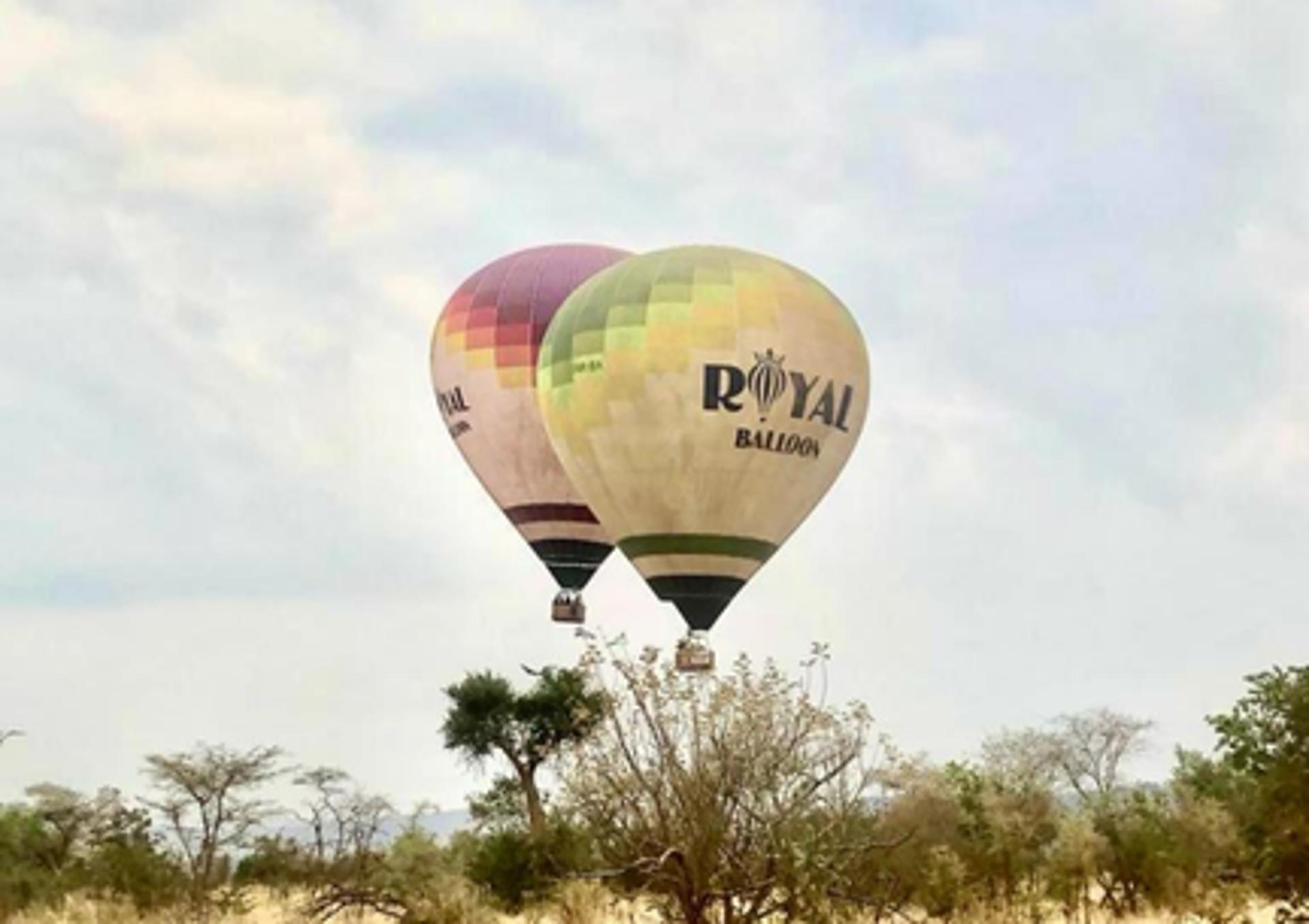 Balloon Tour