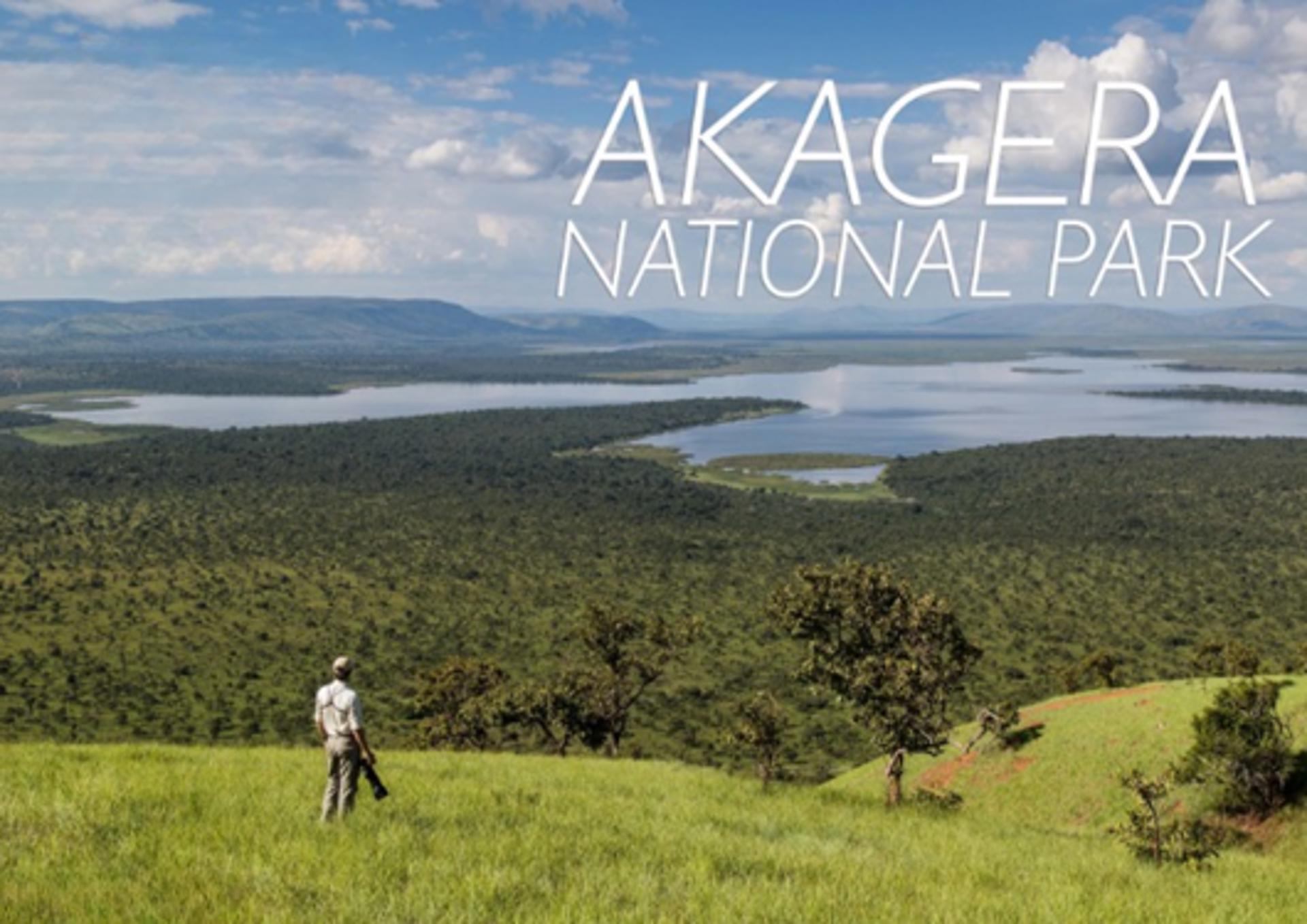 Akagera National Park